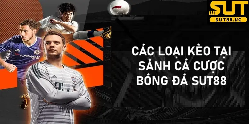 Sảnh bóng đá SUT sở hữu đa dạng loại kèo cá cược