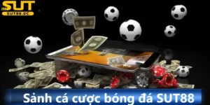 Sảnh cá cược bóng đá SUT88 - Nơi hội tụ kèo đấu đỉnh cao